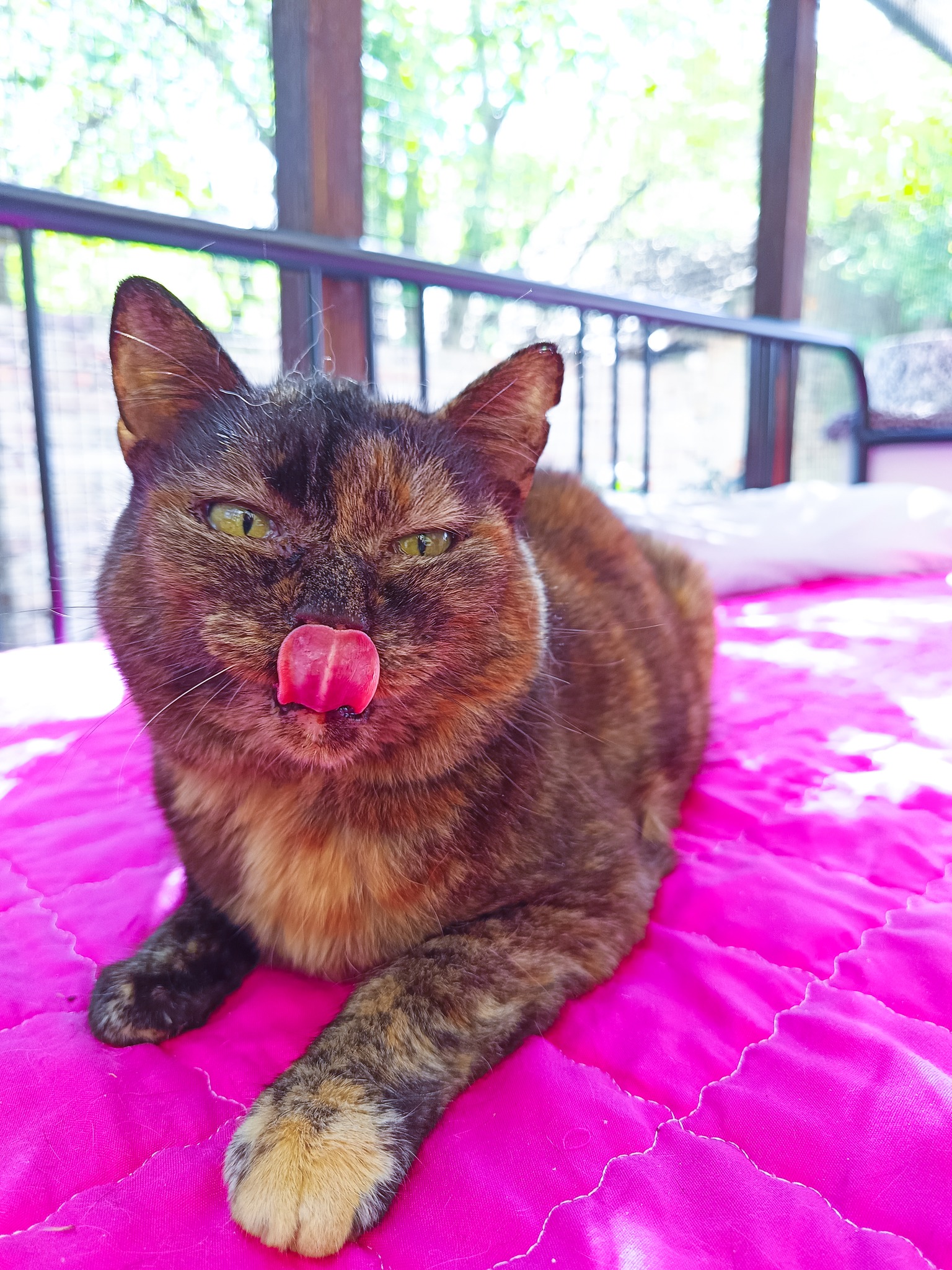 552719760_1229938245826510_4590392217883156435_n